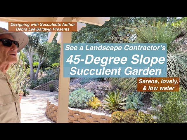 See a Landscape Contractor's 45-Degree Slope Succulent Garden