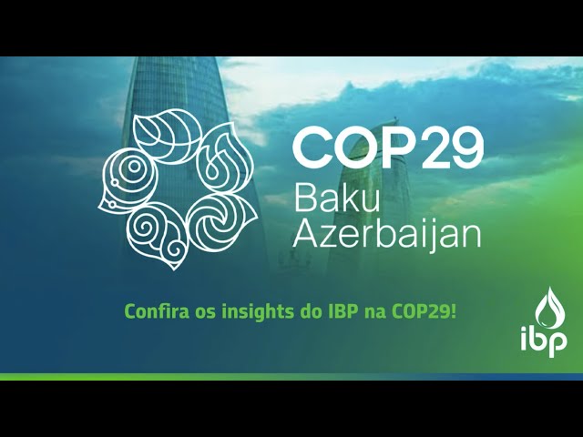 Confira os principais insights da participação do IBP na #COP29