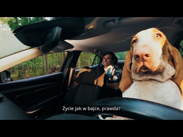 "Zwierzęce lustro człowieczeństwa" | Reaguj z Animal Helper | Spot