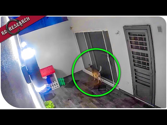 10 रहस्यमय हादसे जिनसे पूरा इंटरनेट हिल गया | 10 Mysterious Videos