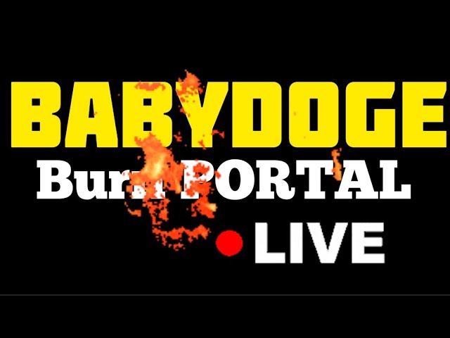 #babydoge Burn Portal Burning TOKENS  EN VIVO