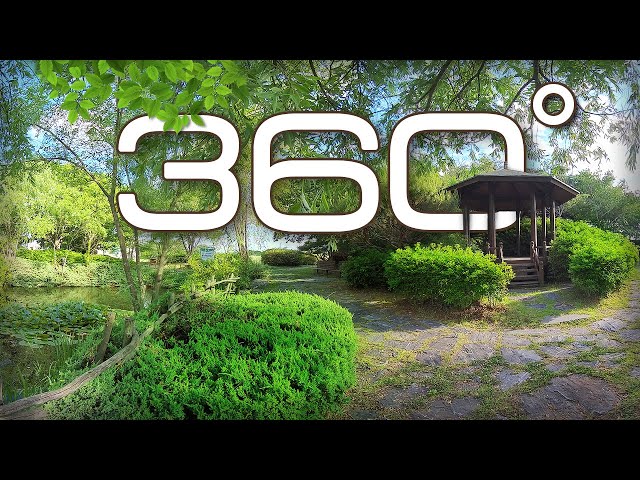 360° Video, Parks in Ansan, South Korea, 8K VR video