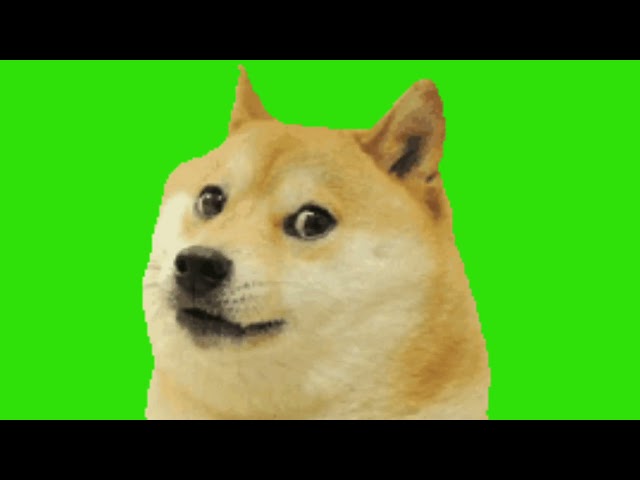 Doge green screen