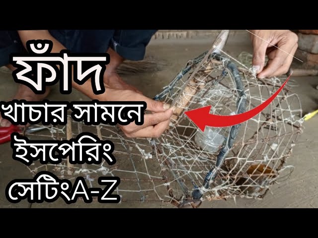 ঘুঘু পাখির ফাঁদ খাচার ইসপেরিং সেটিংA-Z/কি ভাবে ফাঁদ খাচা তৈরি করে,bird trap,How to make a bird trap.