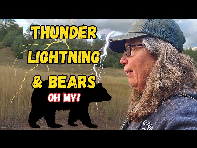 Thunder, Lightning, Bears and Coyotes in Colorado - Solo RV Road Trip