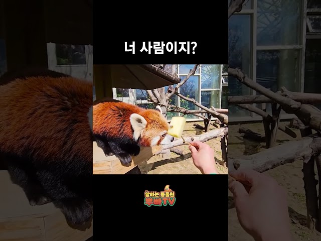 아무리 생각해도 사람 같아