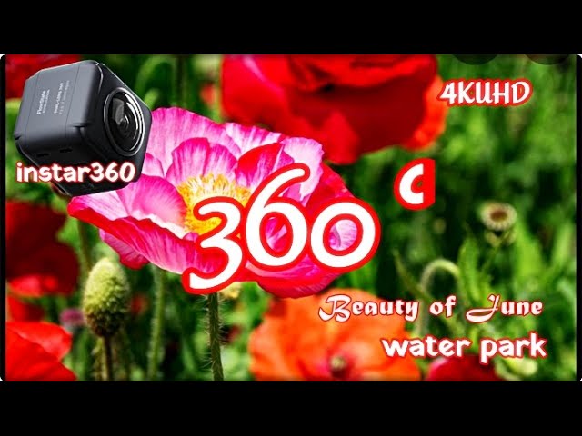 (4K) Walk on the Poppy field shots instar360º Water park NO,2