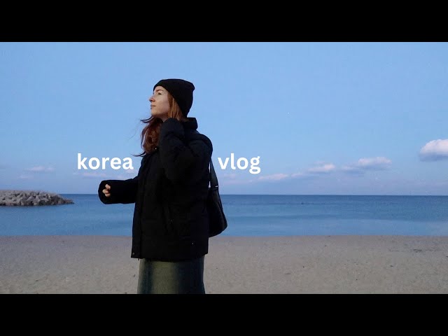 winter in sokcho, korea vlog 🐚 street food markets, beach cafes, seaside temples | solo travel korea