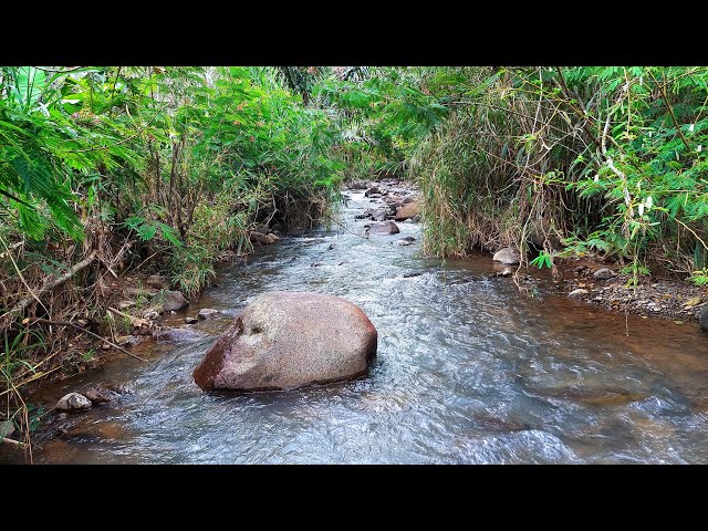 Relax And Unwind With Calming River Sounds With Clear Water Stream For A Peaceful Mind And Soul