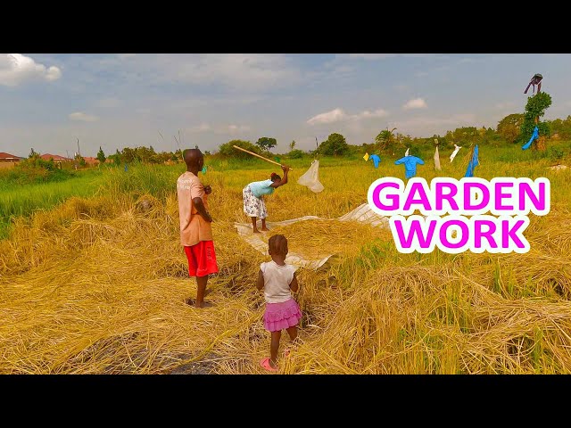 OUR VILLAGE DAILY LIFE IN AFRICA (UGANDA) //Village Girls