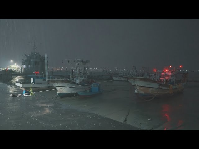 [Rain Walk in ThunderStorm] Rainy port. Lightning thunder. Thunderstorm Sounds