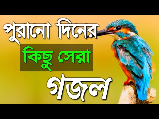 পুরানো দিনের কিছু সেরা গজল | Best Top Gojol | মন ঠান্ডা করার মত গজল