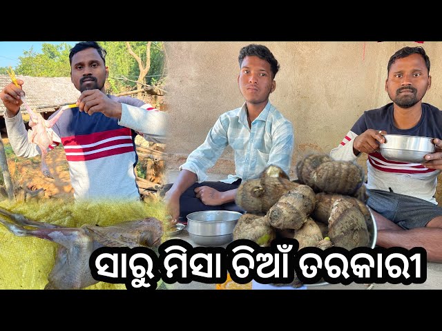 baby chicken curry village style || ସାରୁ ମିସା ଚିଆଁ ତରକାରୀ || village tribal life