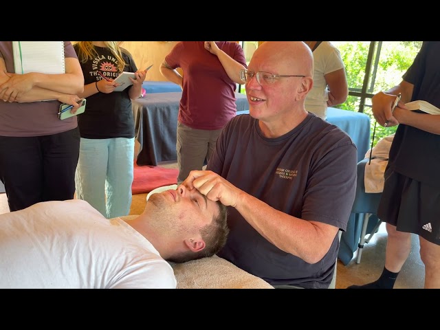 Face and head massage by Naturopath Brandon Raynor