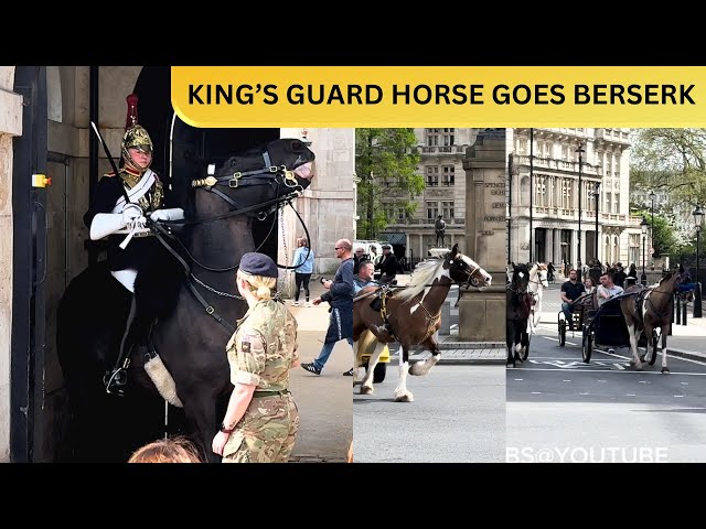 KING’S GUARD HORSE GOES BERSERK AS IT SEES HUNDREDS OF HORSES RUNNING ACROSS!