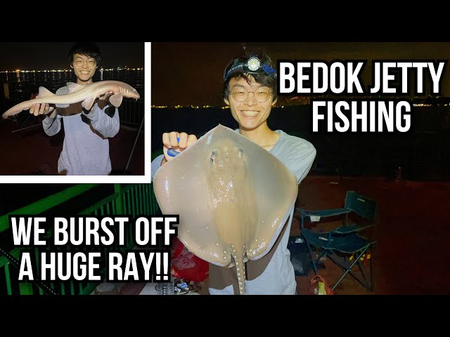 BURST OFF A HUGE ENDANGERED RAY!! | Surf Fishing at Bedok Jetty | Shark and Rays