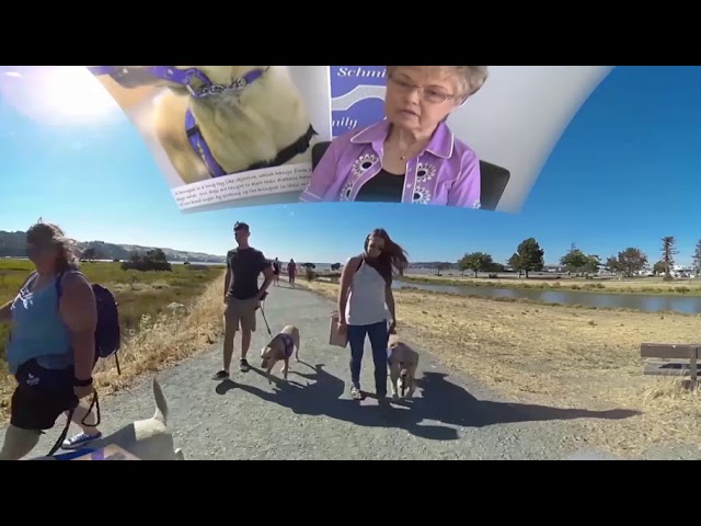 Dogs4Diabetics 360 Video