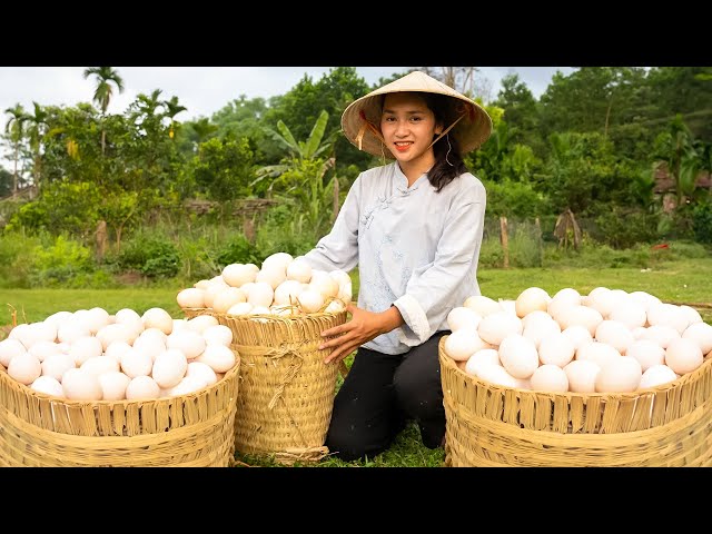 Harvesting DUCK EGGS,CHICKEN & GOOSE...Go To Market Sell | Farm Life: Cooking & Gardening.