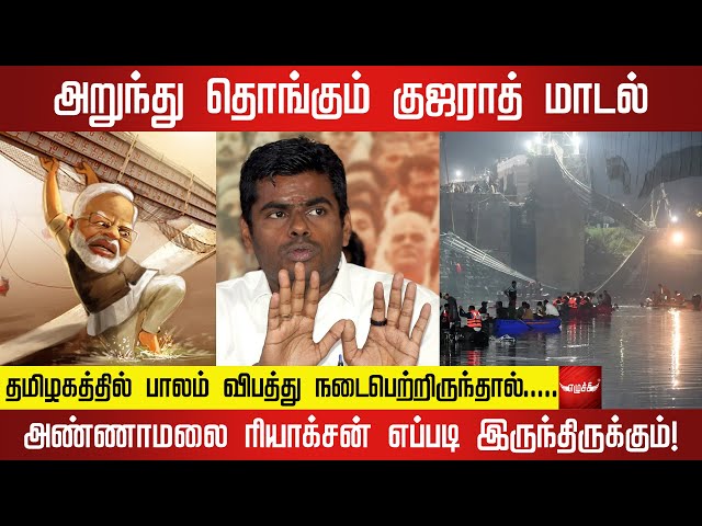 ஒருவேளை தமிழகத்தில் பாலம் விபத்து நடைபெற்றிருந்தால்.....  அண்ணாமலை ரியாக்சன் எப்படி இருந்திருக்கும்!