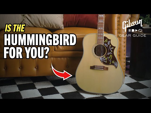 Is The Hummingbird The Best Gibson Acoustic Guitar For You? What's The Gibson Hummingbird Sound?