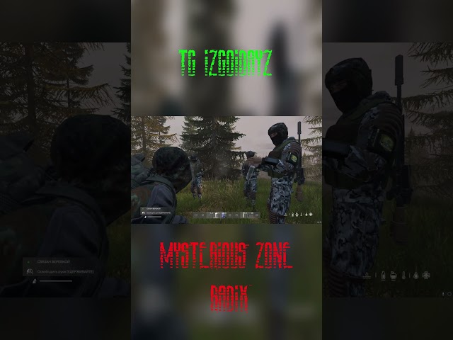 ШОК КОНТЕНТ! МОНОЛИТ НАПОИЛ СТАЛКЕРА #монолит #mysteriouszonedayz  #dayzrp #rp #dayz #shorts