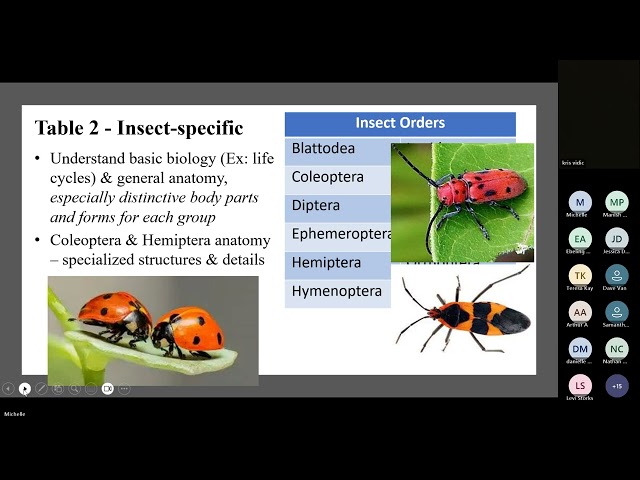 Amazing Arthropods Event Coach Training 2025