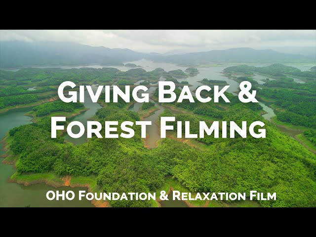 Calming Forest Filming for Relaxation & Giving Back | Richard Nomad & OHO Foundation