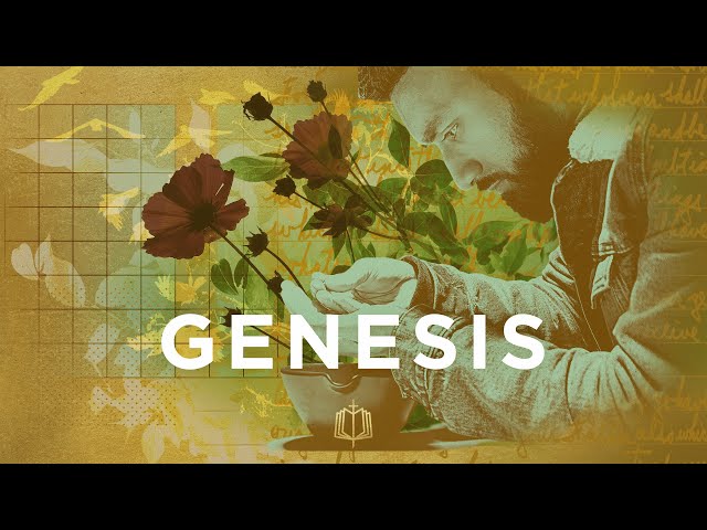 Genesis: The Bible Explained