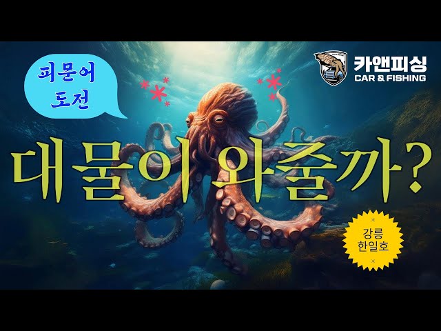 [이벤트]대물이 와줄 것인가! 강릉 피문어 도전! #피문어 #문어  #낚시 #라이브