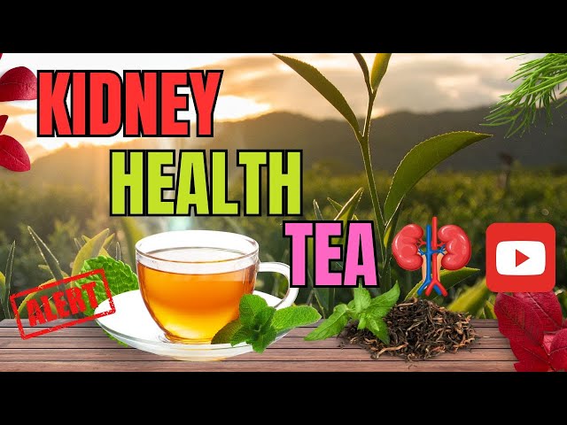 Lower Your Creatinine LEVELS Naturally With Kidney Health Tea