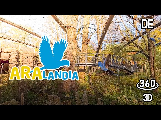 Aralandia - Eine Hochzeitsvoliere für Aras - [360° 3D VR in deutsch]