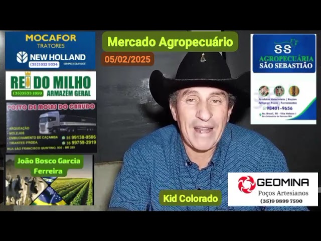 Mercado Agropecuário 05/02/2025 (Obs: Os preços são atualizados todos os dias pelo CEPEA)