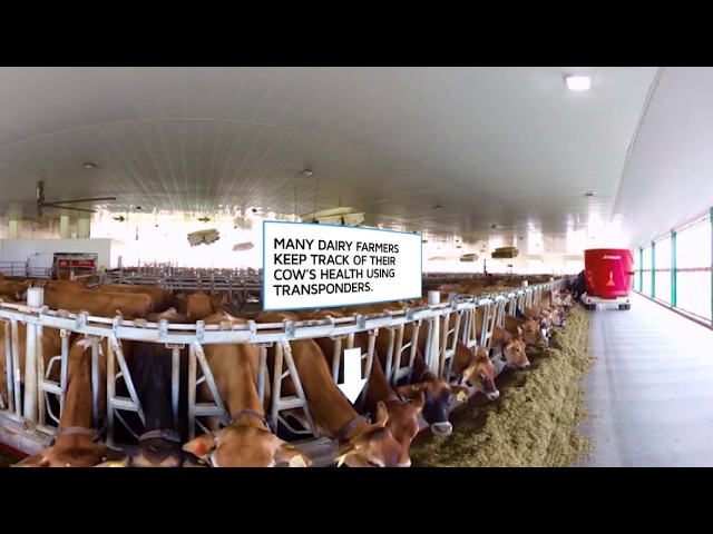 VR Farm Tour: Sustainable Practices on New England Dairy Farms