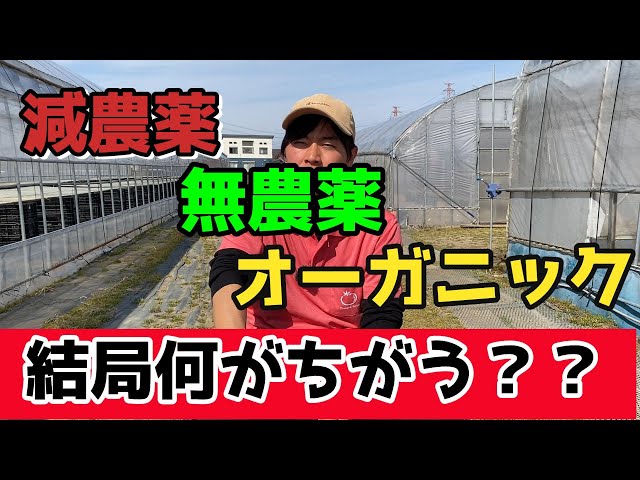 【皆さん気を付けて】減農薬？無農薬？オーガニック？意外と知らない本当に体に良い野菜教えます。