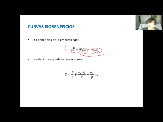 Clase 12:  Isobeneficios. Isocostos. Sustitución Factorial Directa. Función de Costos Mínimos