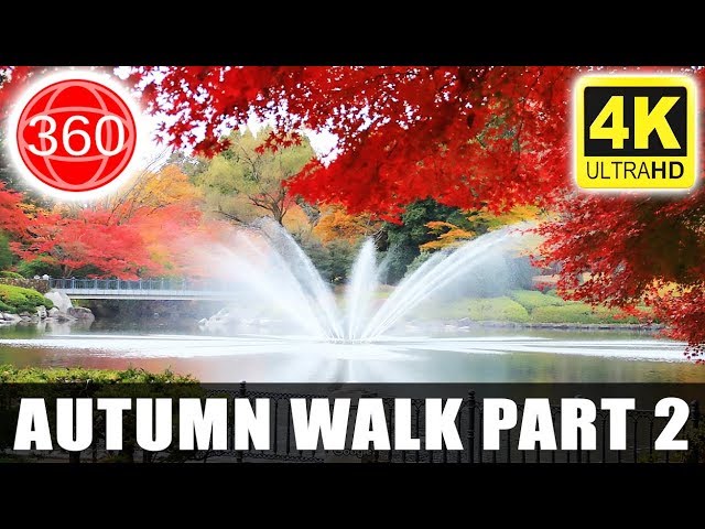 [4K 360°] Autumn in Utsunomiya Central Park Main Path, Tochigi Prefecture ( PART 02 ) || JAPAN 360