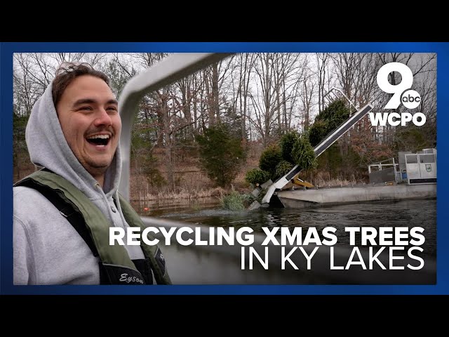 Kentucky officials throw Christmas trees in lakes all over the state each year. Here's why.