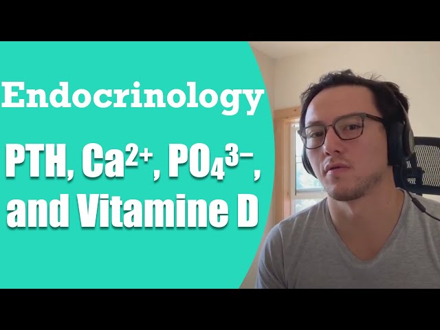 Story of ParaThyroid Hormone, Calcium, Phosphate, and Vitamin D