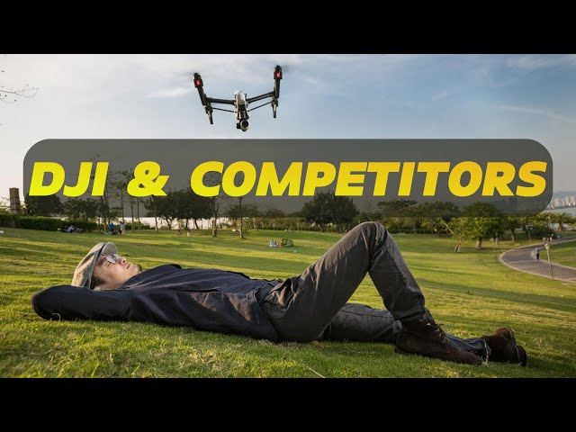 DJI's Winning Strategy in the Drone Market