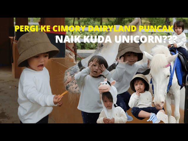 CIMORY DAIRYLAND PUNCAK | MALIKA NAIK KUDA | OLD MACDONALD NURSERY RHYMES | MARY HAD A LITTLE LAMB