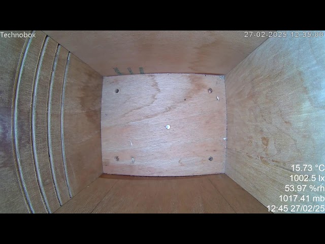 Technobox Live Bluetit nestcam