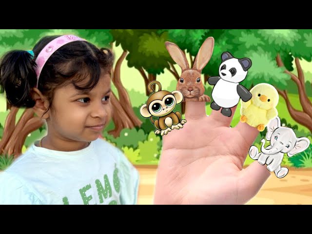 The Finger Family song | Nursery rhymes  & songs for children