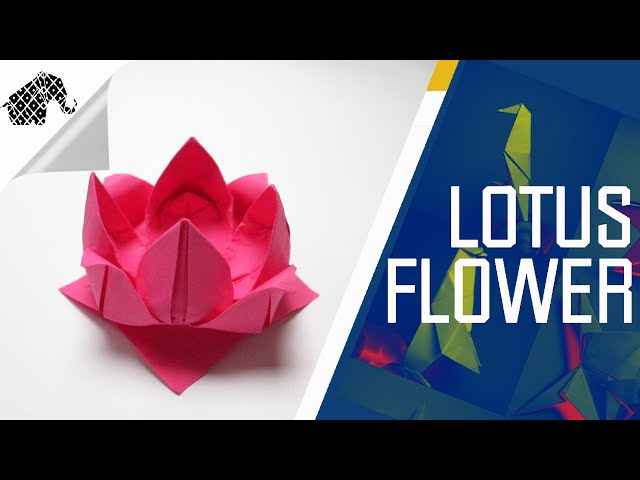 Origami - How To Make An Origami Lotus Flower