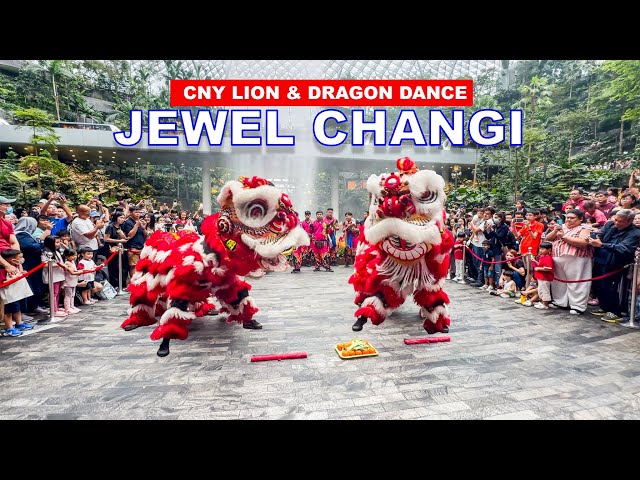 Jewel Changi Airport Lion and Dragon Dance | Singapore Chinese New Year 2025🇸🇬🦁🐍🧧