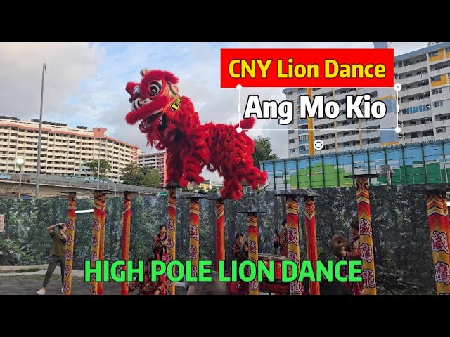 "Singapore Wei Eng Lion on High Poles Performance at AMK Hub | CNY Spectacle Draws Huge Crowds!"