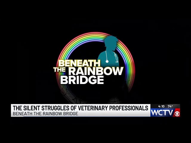 Beneath the Rainbow Bridge looks at the silent struggles of veterinary professionals