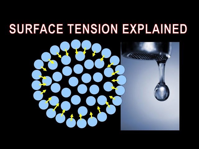 Surface Tension - What is it, how does it form, what properties does it impart