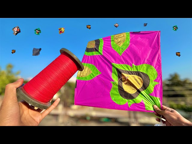 Kite Flying 2025 | Kite Fighting | Kite Video | Kite Cutting | Patang Bazi