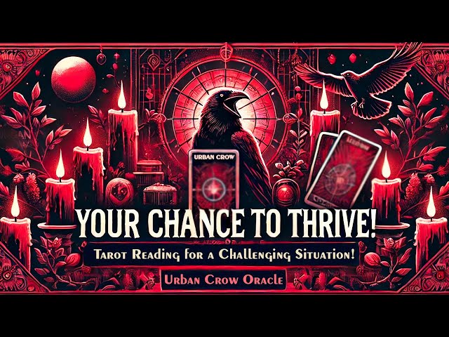 Your Chance to Thrive! Tarot Reading for a Challenging Situation!