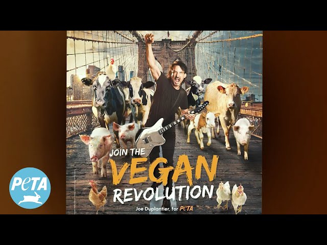 Gojira Vocalist Joe Duplantier: ‘Join the Vegan Revolution’ | PETA